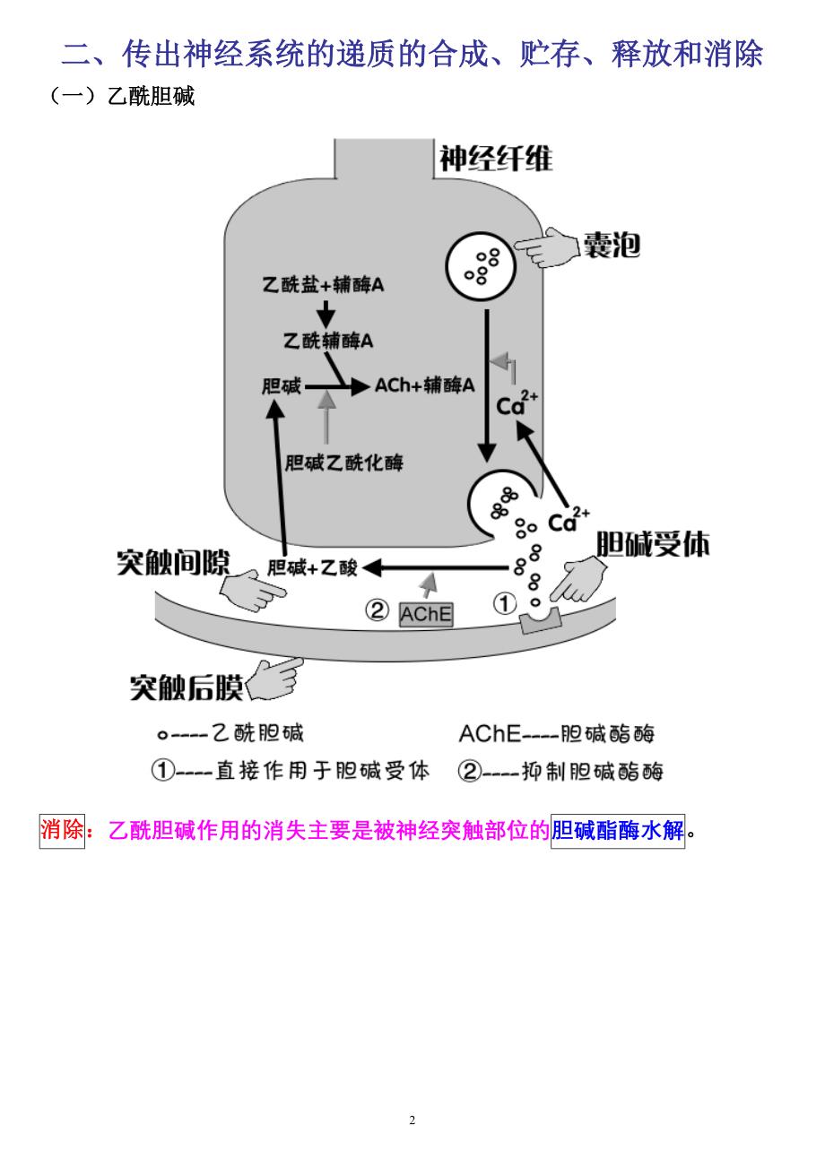 药理学 第五章传出神经系统药药理概论_第2页