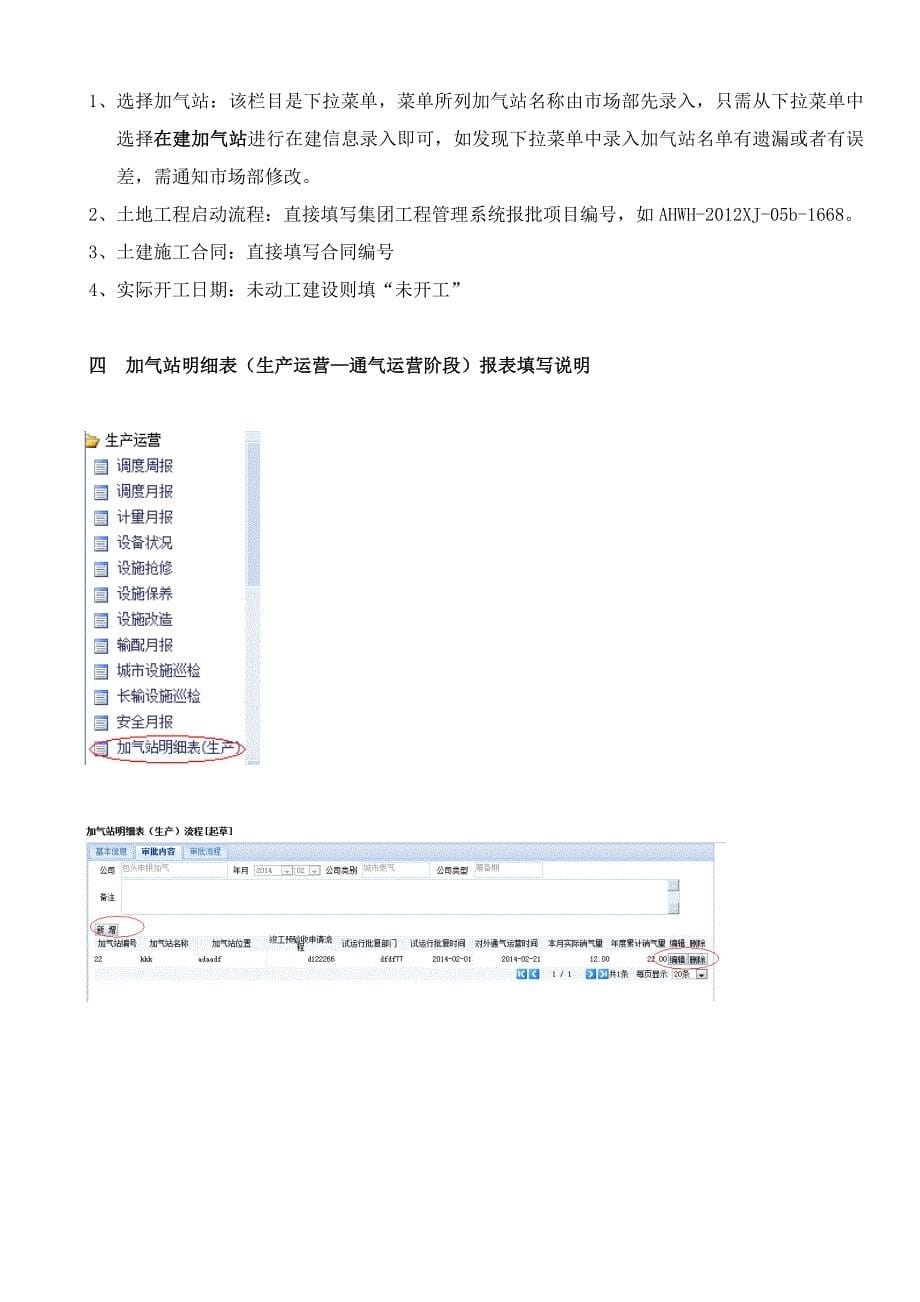 加气站填写指南_第5页