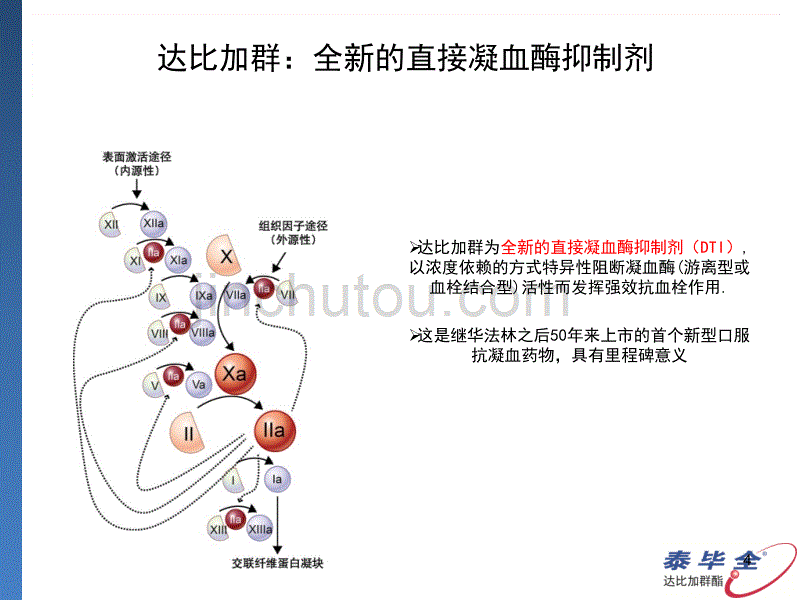 达比加群临床用药建议_第4页