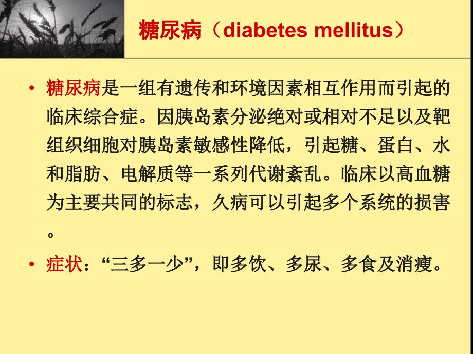 胰岛素及口服降糖药_第3页