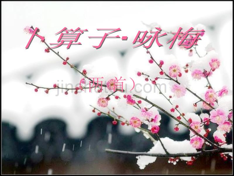 《卜算子·咏梅》微课ppt_第1页