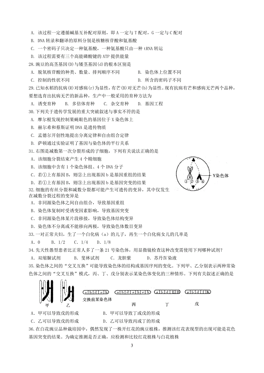 高一下期期末生物试题及答案_第3页