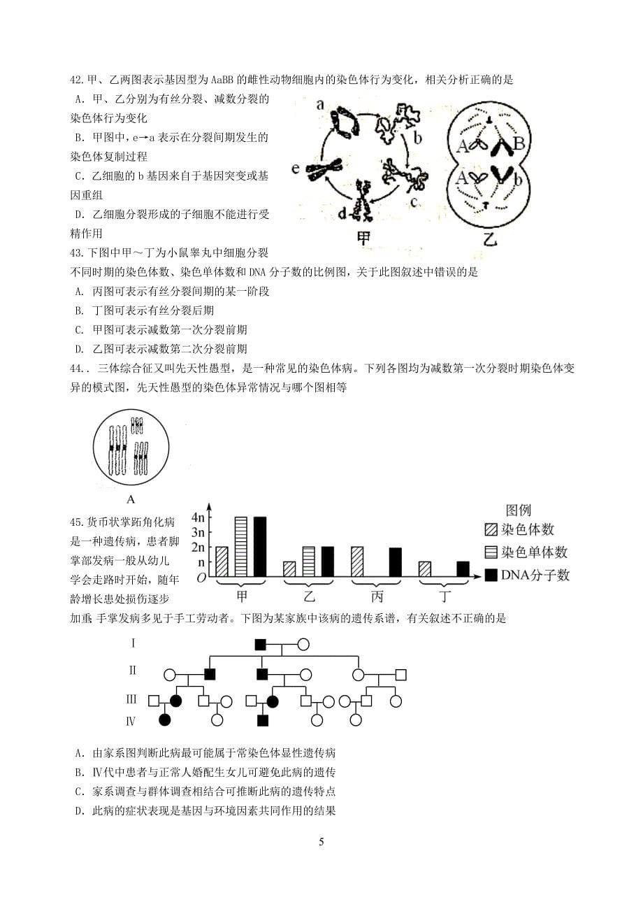 高一下期期末生物试题及答案_第5页