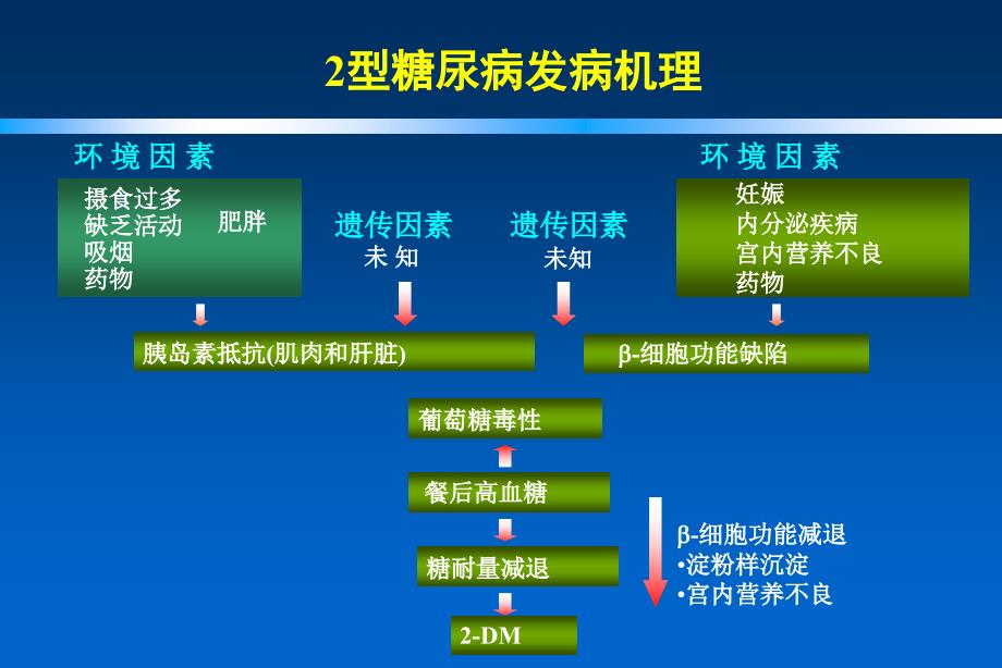 2型糖尿病联合药物治疗_第2页