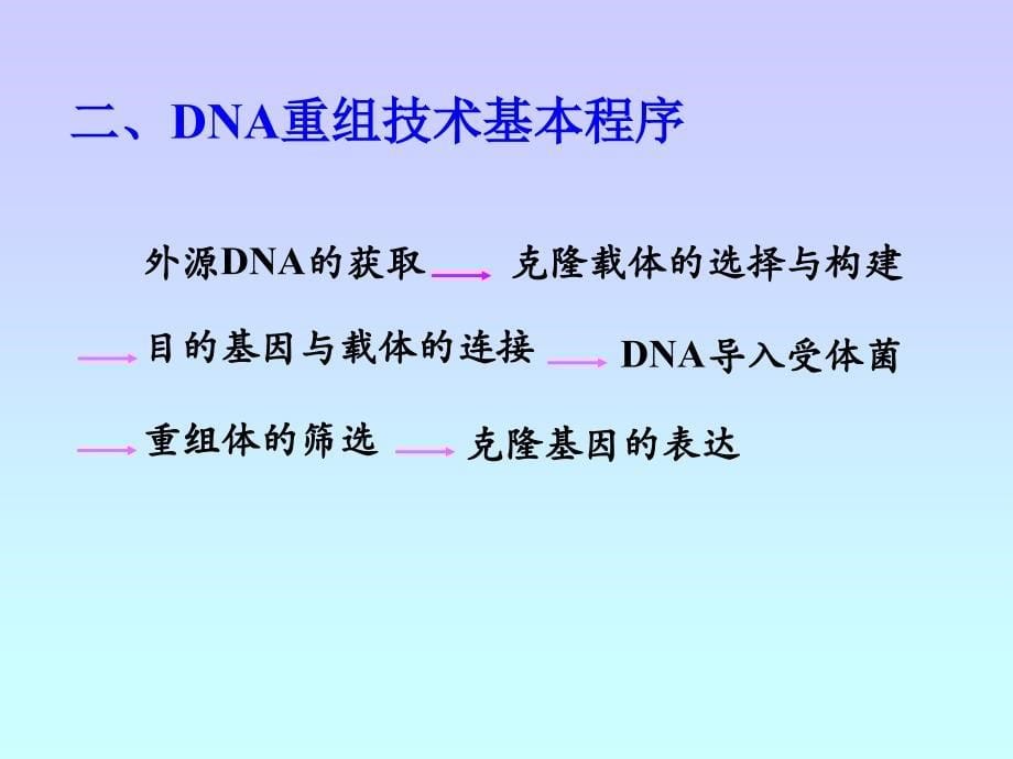 第五章 DNA体外重组技术-LXG-2006-4_第5页