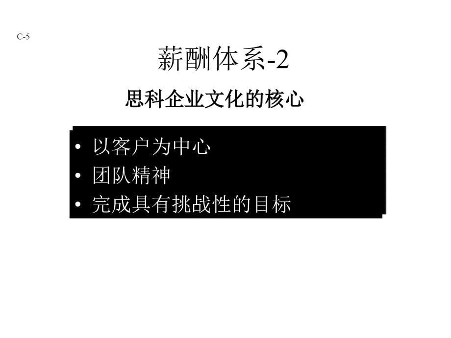 全球领先的互联网解决方案提供者的薪酬管理_第5页