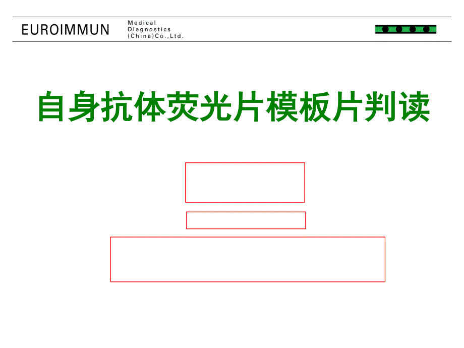 自身抗体荧光片模板片阅读_第1页