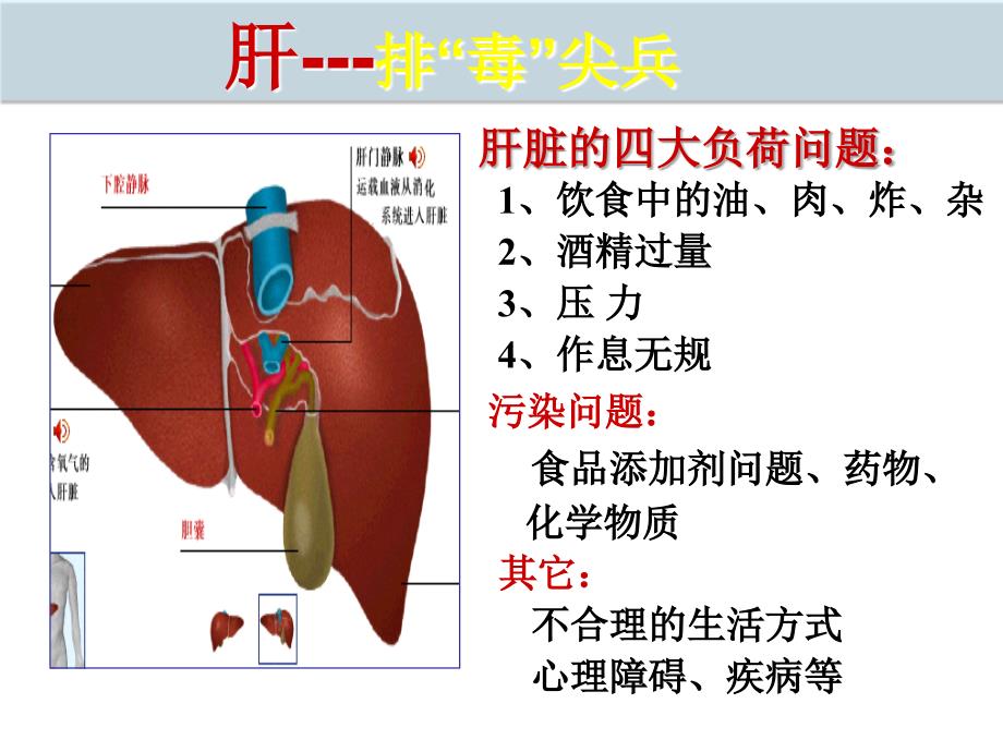 领导干部健康管理(六)_第4页