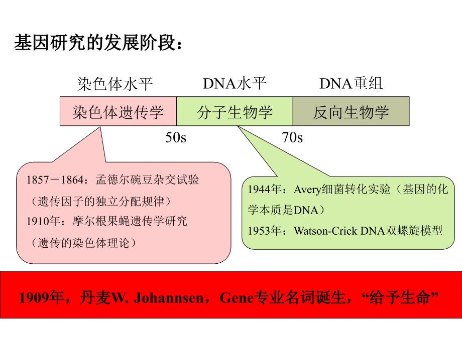 基因工程原理-第一章绪论_第2页