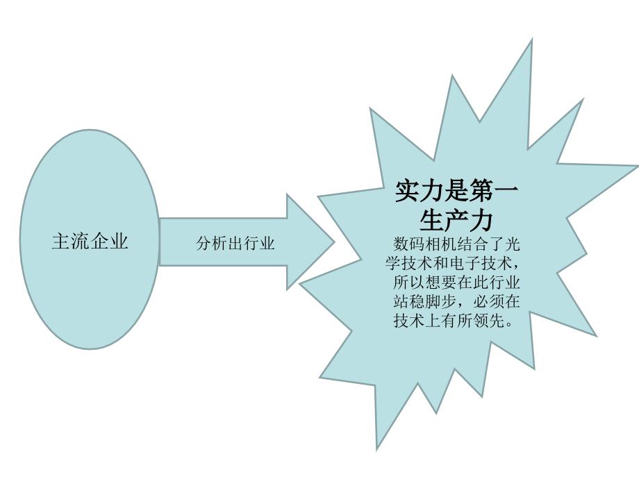 战略管理-数码相机五力模型分析_第3页