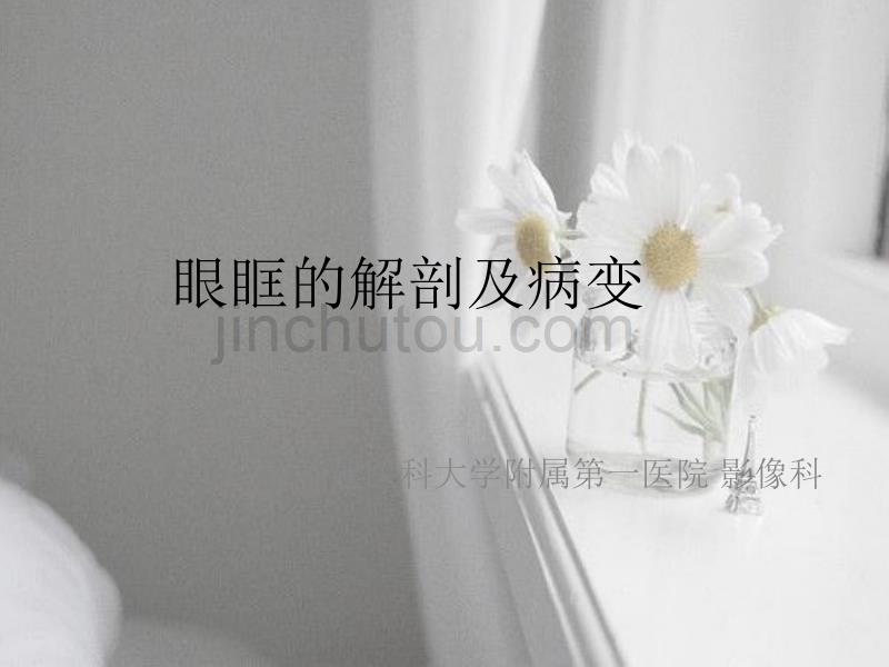 眼眶解剖与病变_第1页