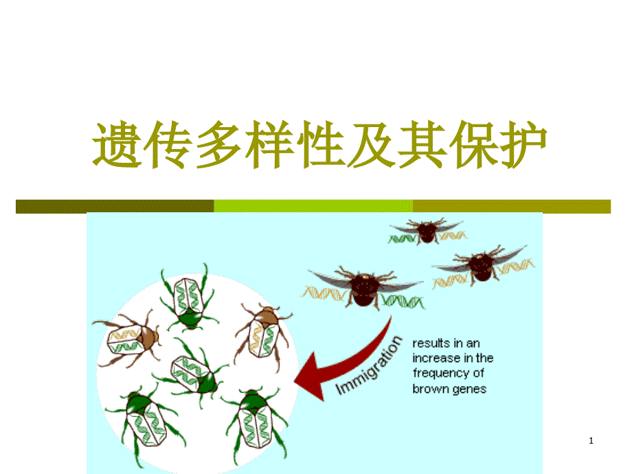 保护生物学 - 05遗传多样性及保护_第1页