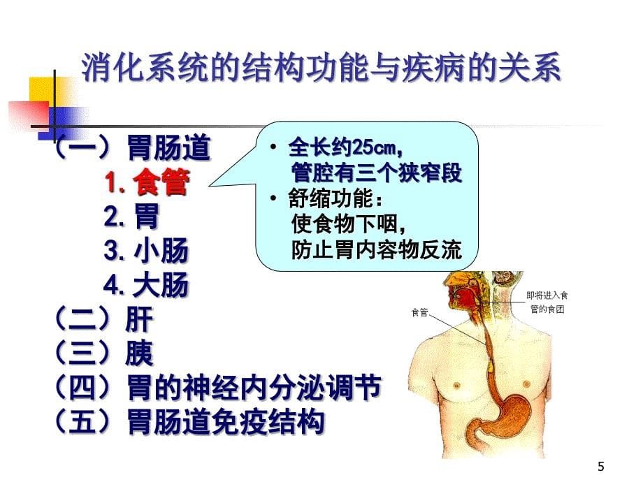 消化系统疾病病人的护理 (2)_第5页