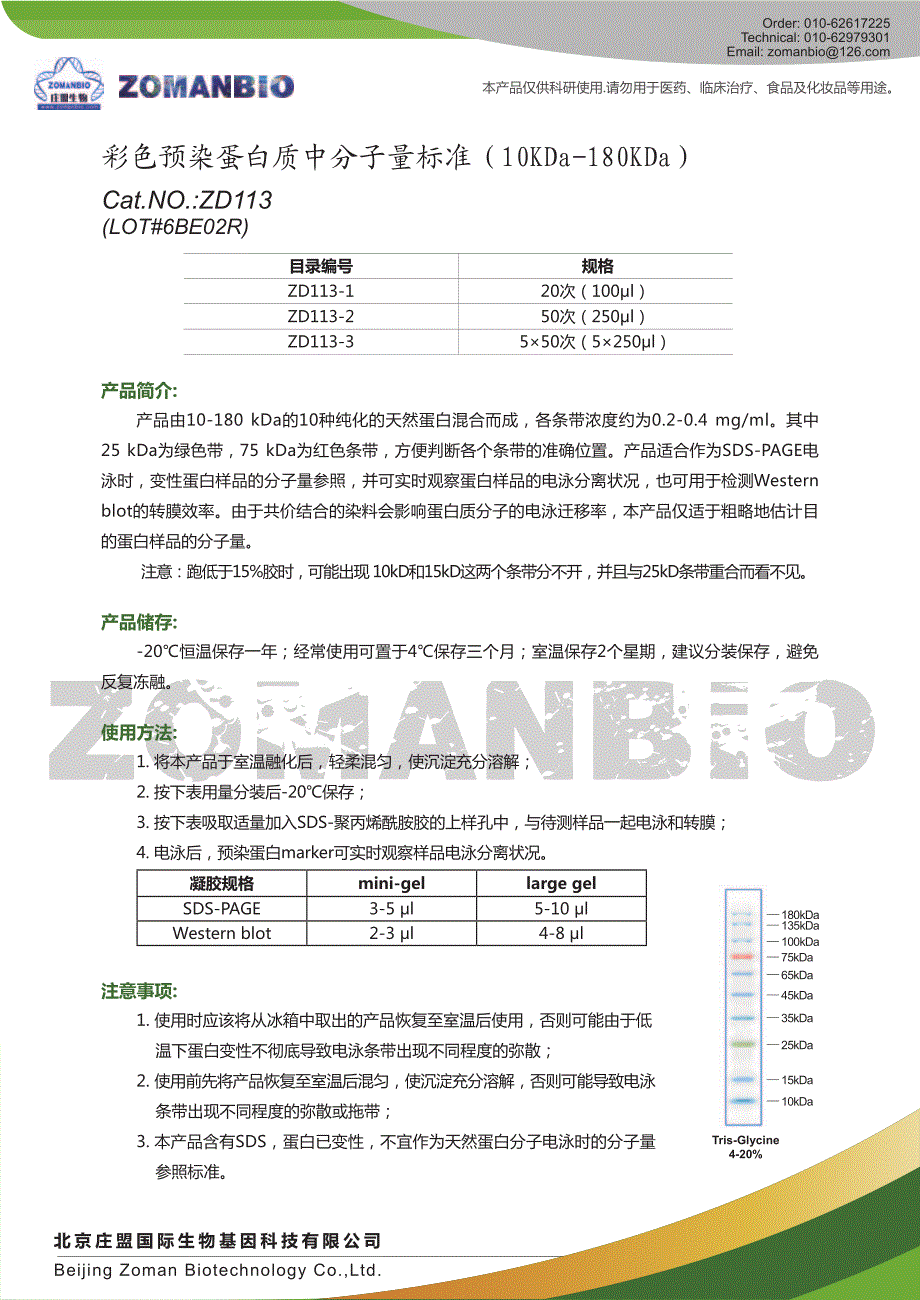 彩色预染蛋白质中分子量标准（10KDa-180KDa）_第1页