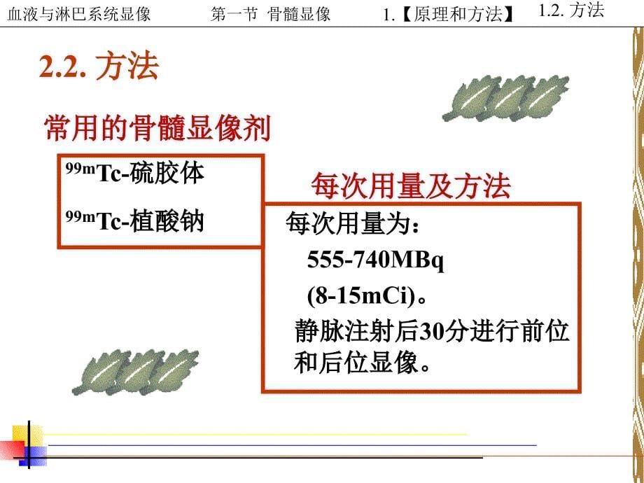 血液与淋巴系统_第5页