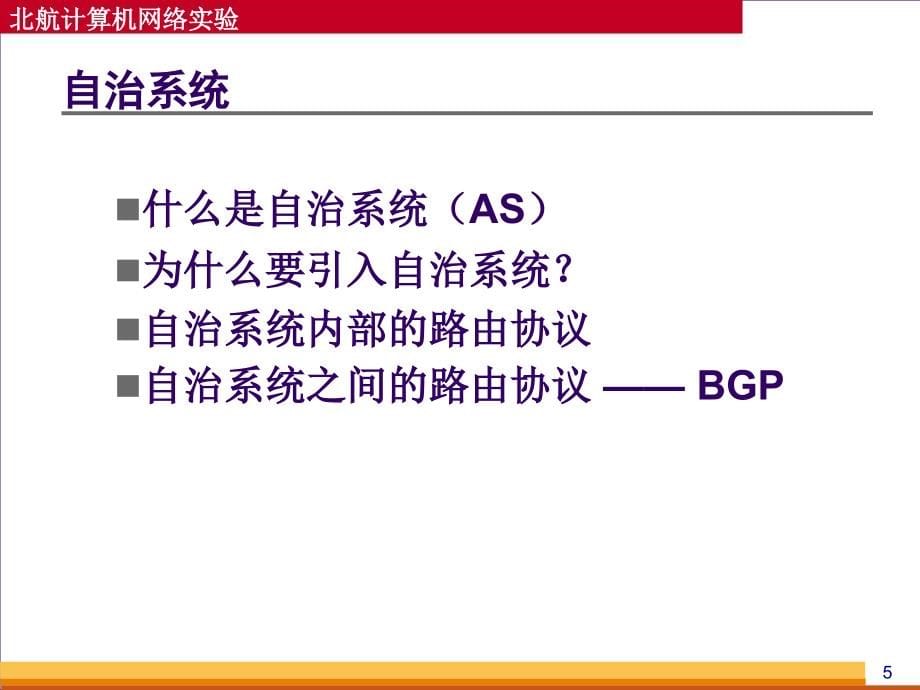 实验四BGP协议实验_第5页