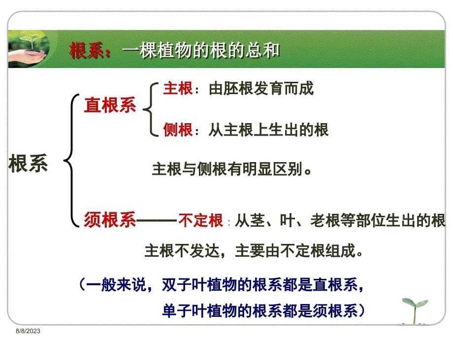 绿色植物的营养器官_第5页