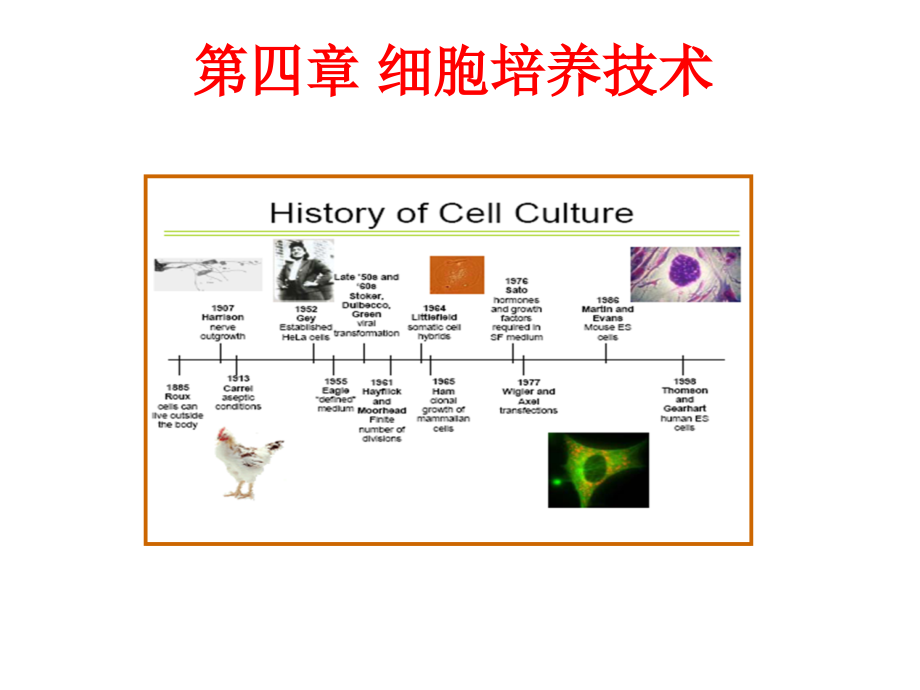 细胞培养技术_第2页