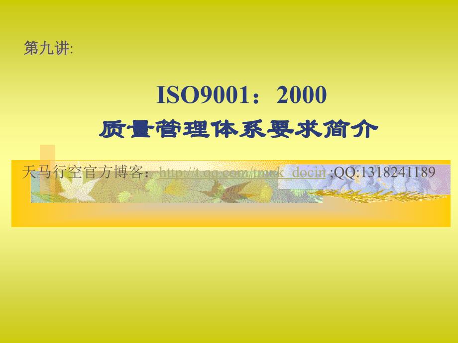 ISO质量管理体系要求简介_第1页