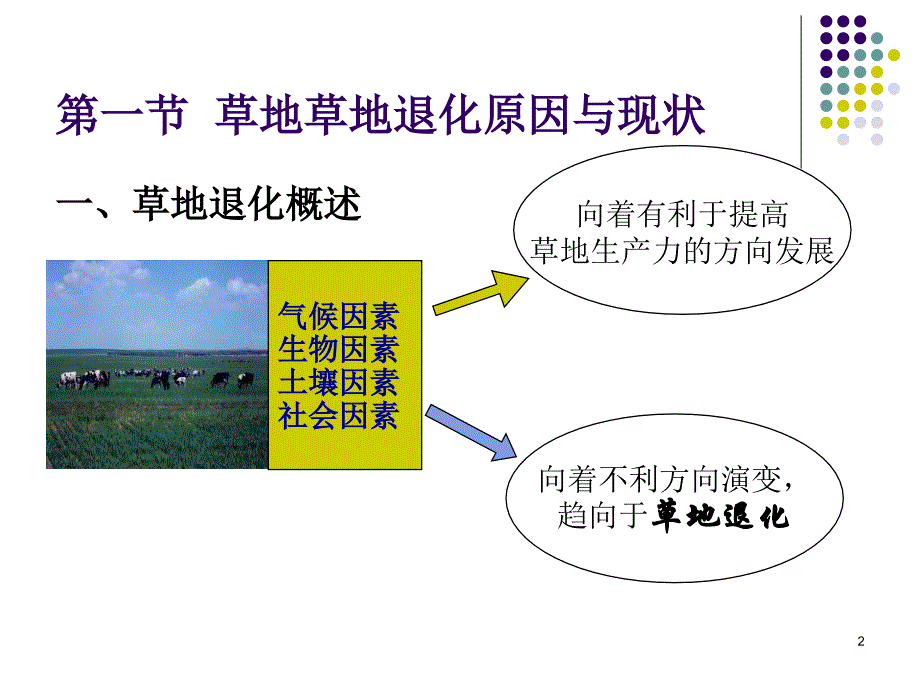 草地学——国家级精品课程第七章-11_第2页