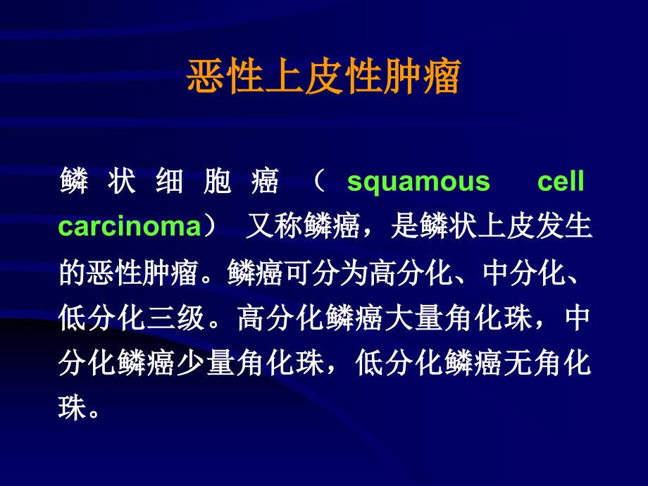 基础医学北大病理学课件恶性上皮性肿瘤_第1页