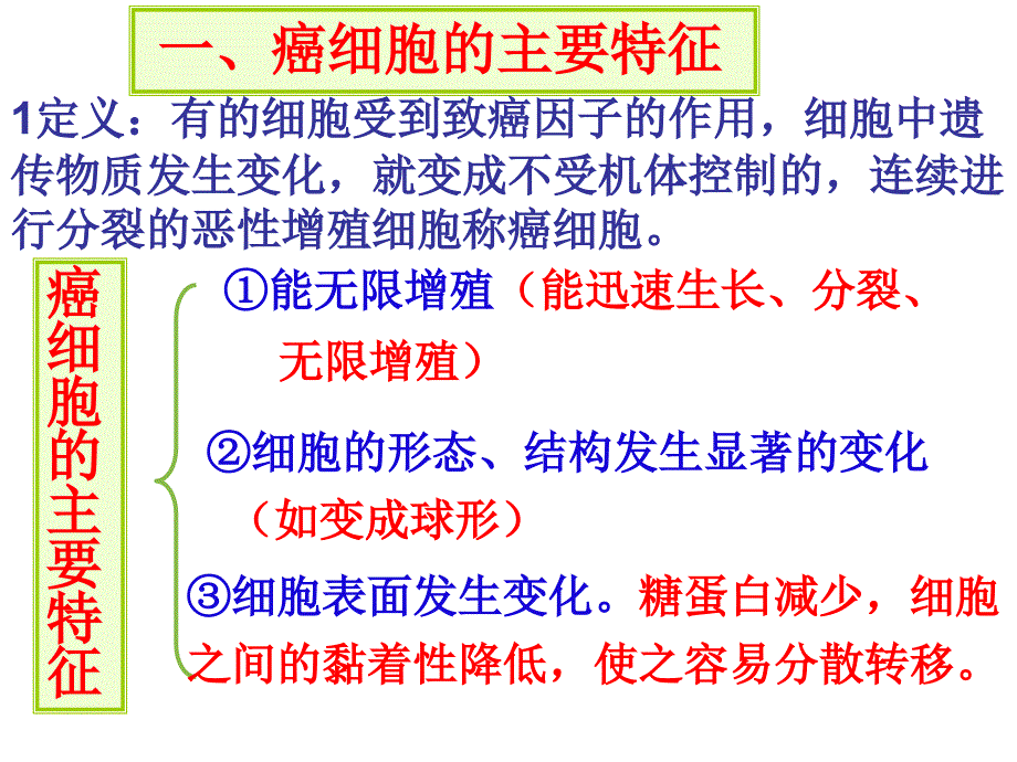 64 细胞的癌变_第4页