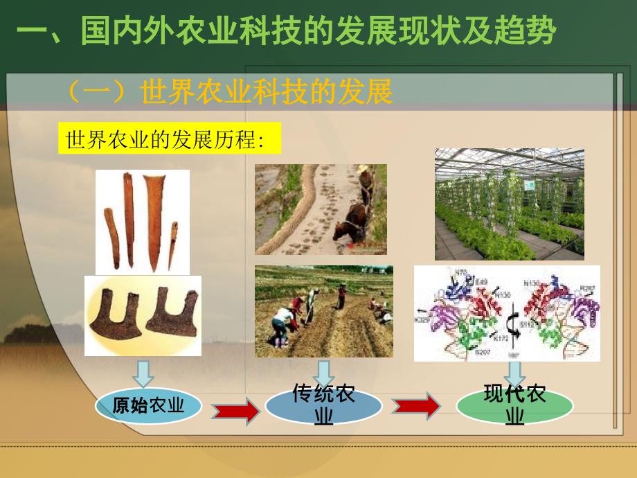科技引领广东现代农业的未来_第3页