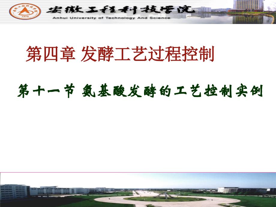 发酵过程控制氨基酸发酵的工艺控制实例_第1页