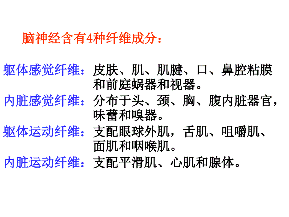 23脑神经 解剖学_第4页