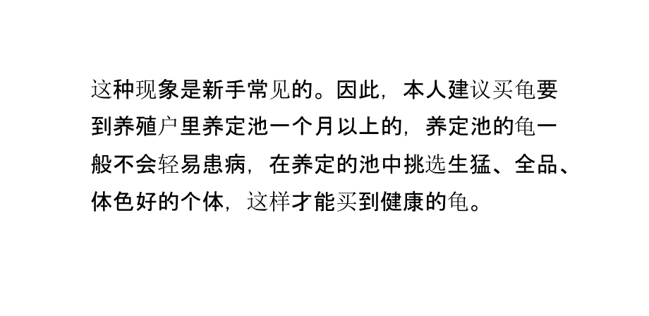 挑选石金钱种龟有三法_第4页