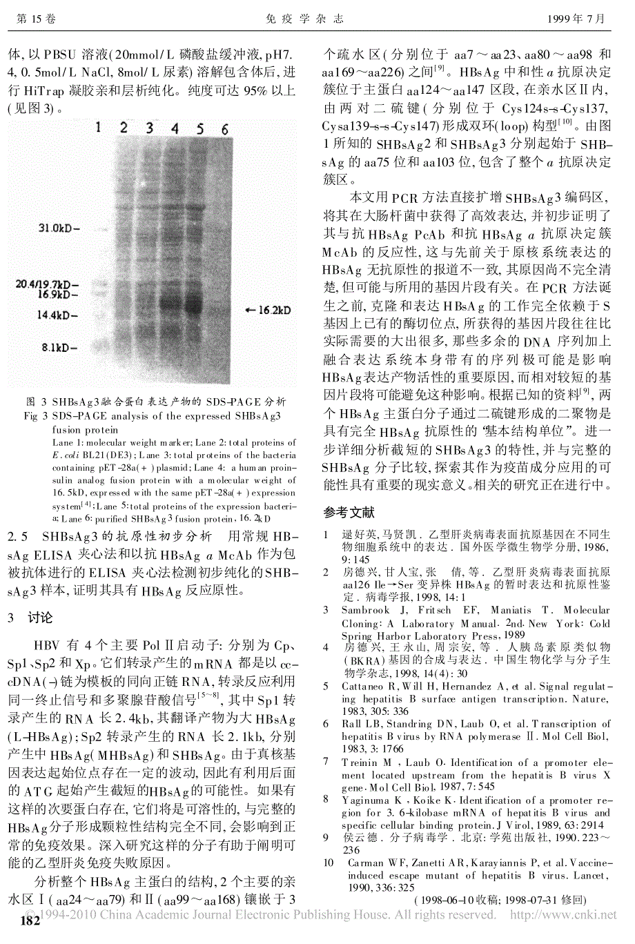 乙型肝炎表面抗原124aa分子在大肠杆菌中的高效表达_第3页