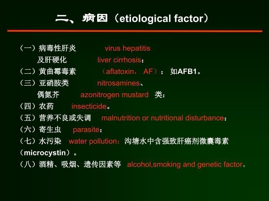 12 肝癌的诊断与综合治疗_第5页