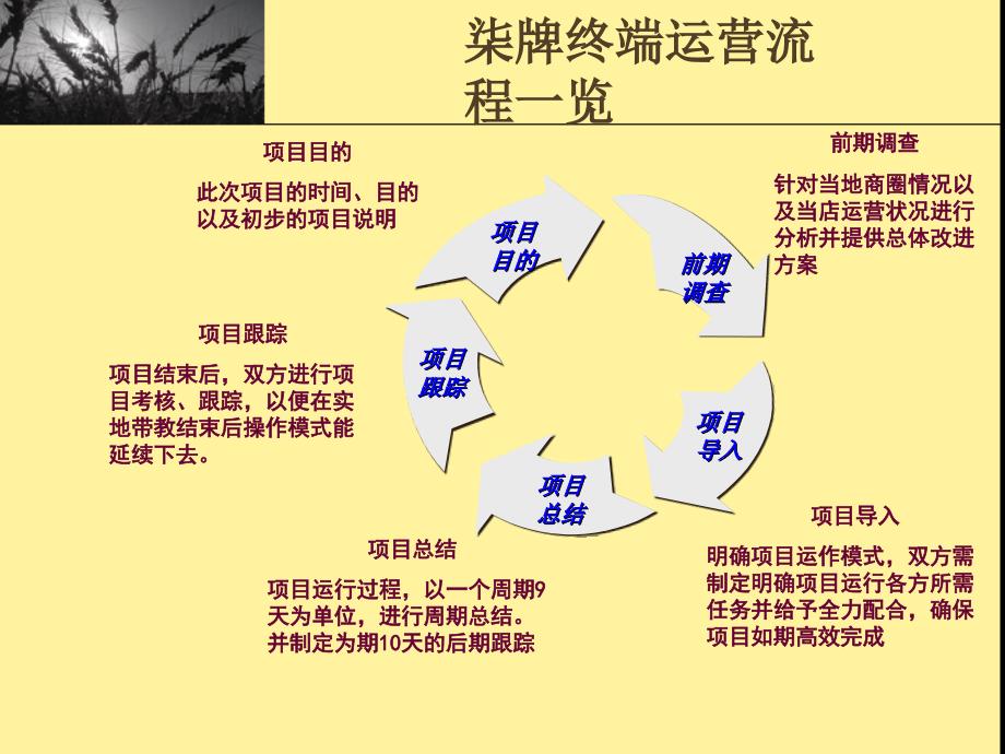 终端实地代教操作手册_第2页