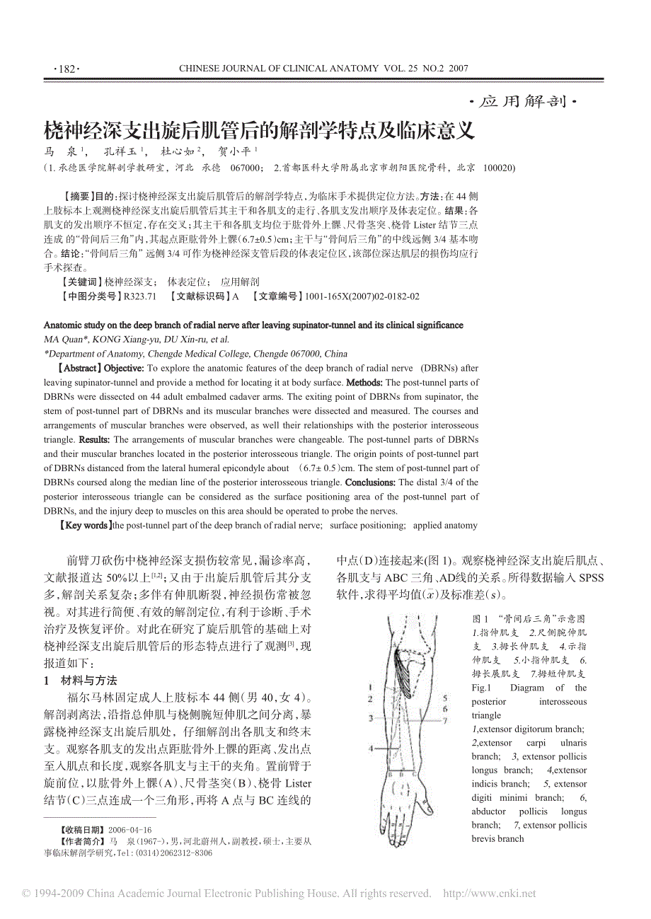 桡神经深支出旋后肌管后的解剖学特点及临床意义_第1页