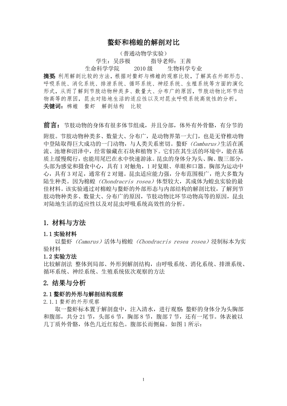 螯虾与棉蝗的解剖比较_第1页
