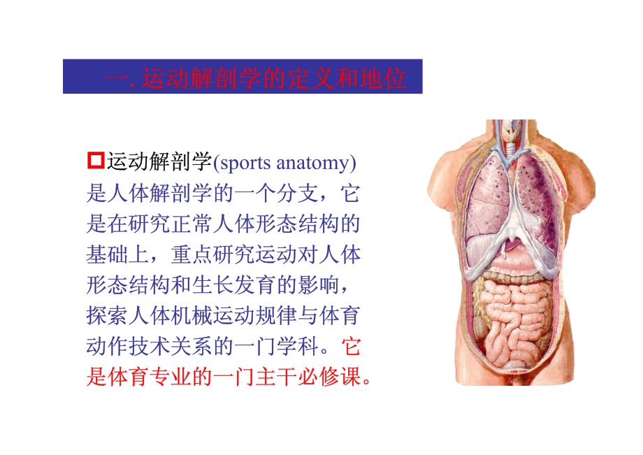 运动解剖学_第3页