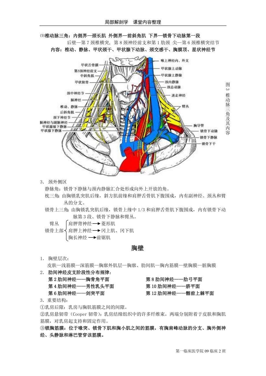 局部解剖学课堂内容整理_第5页