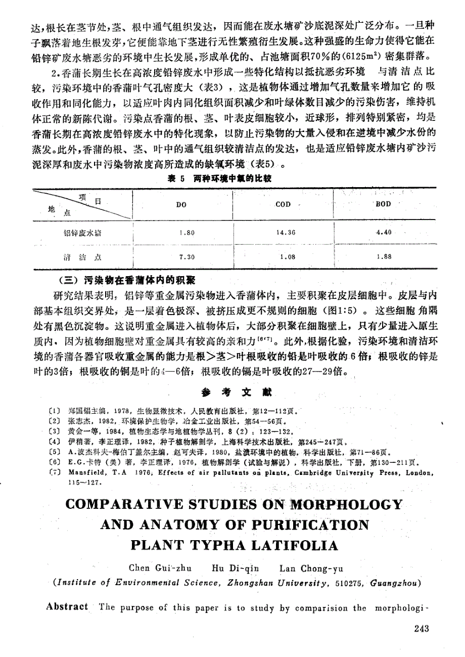 净化污水植物香蒲形态解剖特征的比较研究_第4页