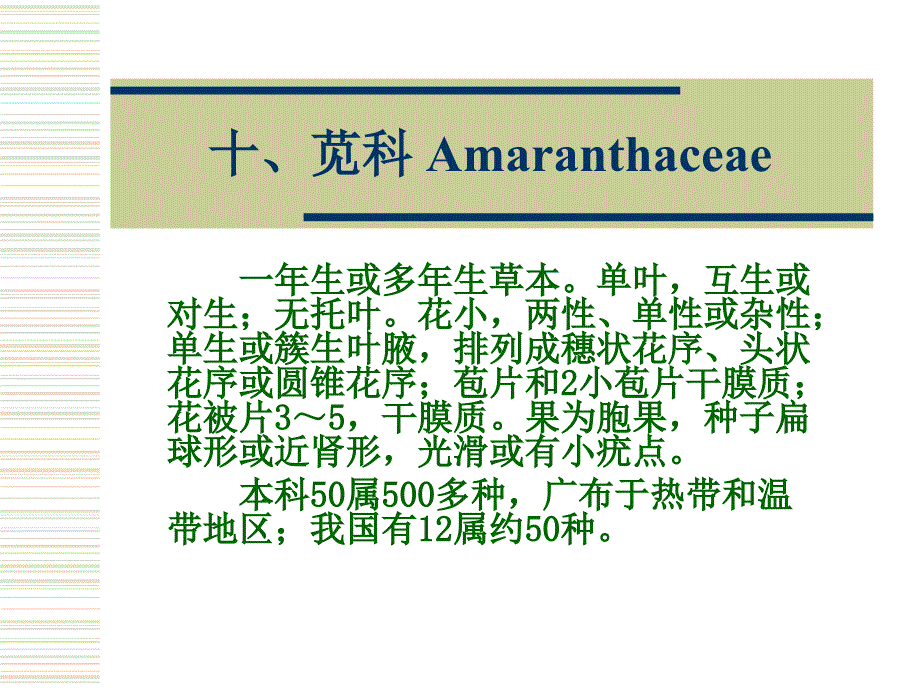 园林绿化植物(10.苋科)_第1页