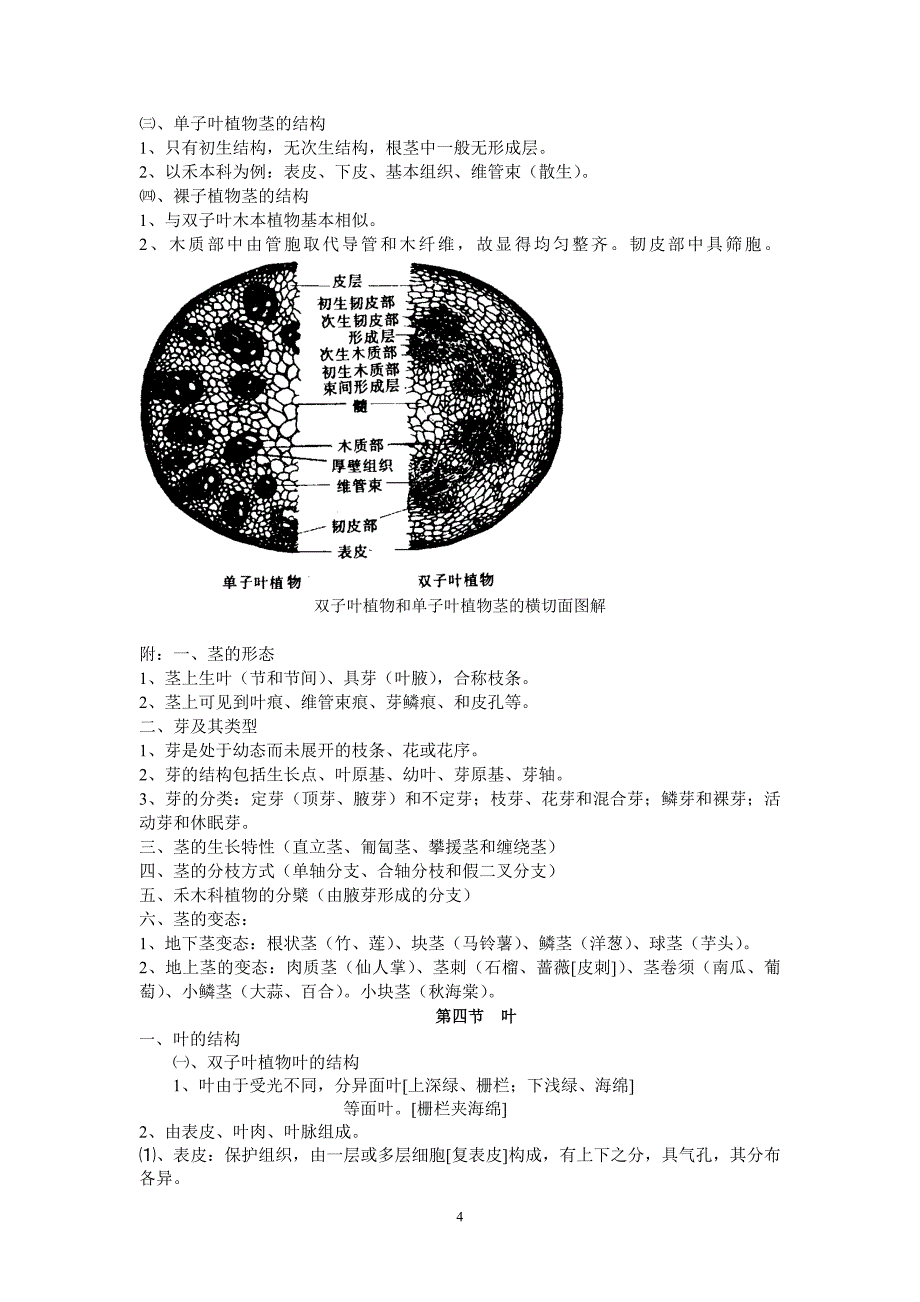 第一篇 植物形态解剖及分类_第4页