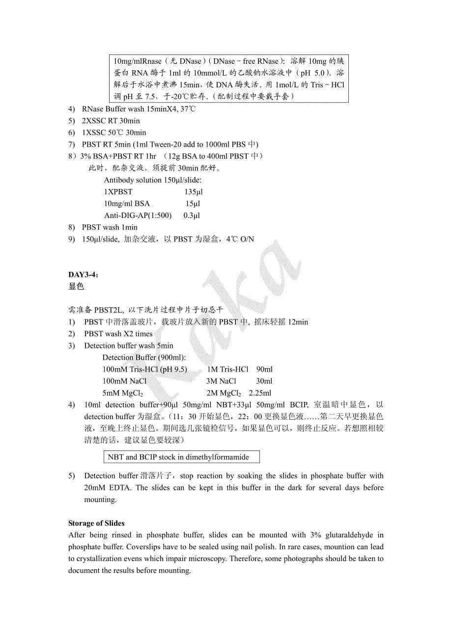 原位杂交protocol_第5页