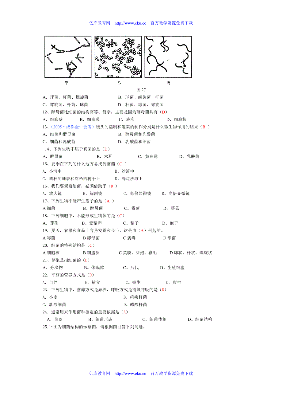 试卷 分布广泛的细菌和真菌_第3页