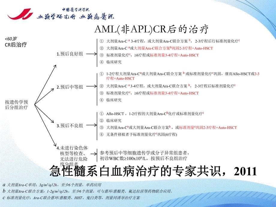 自体造血干细胞移植治疗急性髓系白血病-韩明哲_第5页