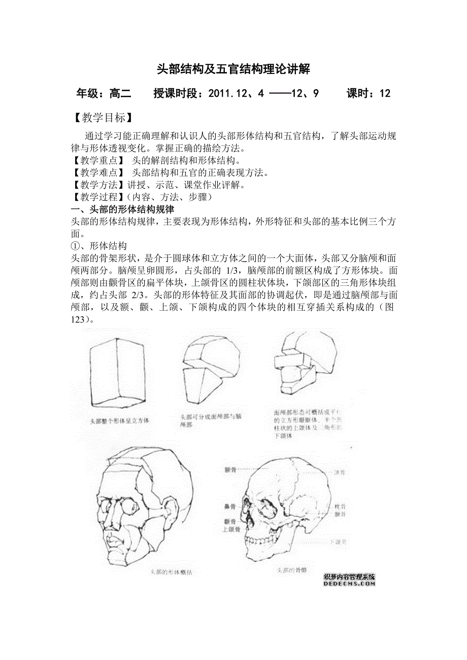 头部结构及五官结构理论讲解_第1页