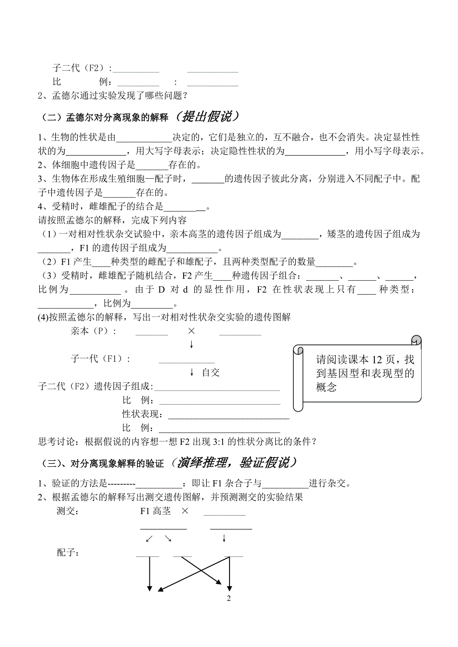 基因分离定律学案4_第2页