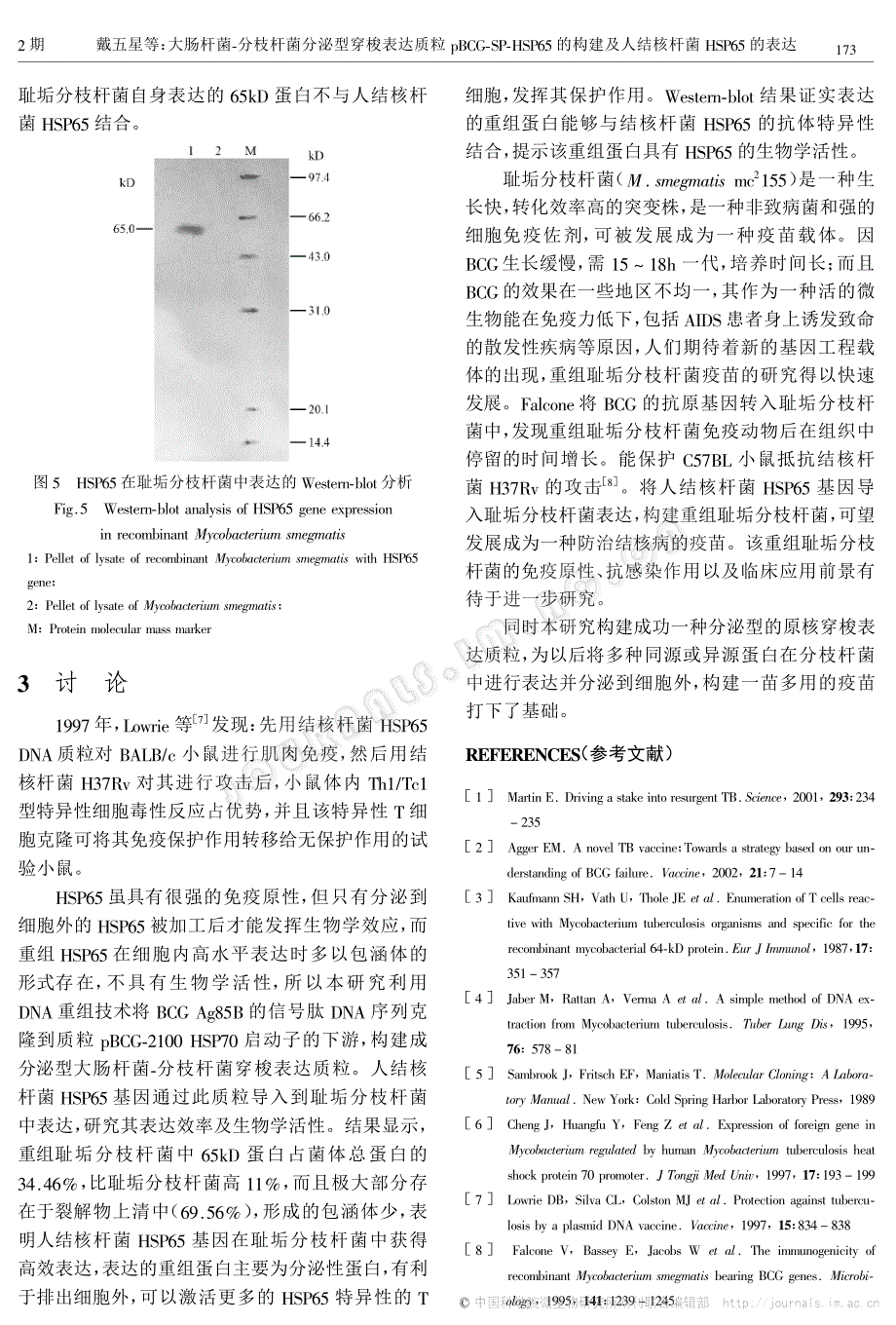 sp-hsp65的构建及人结核杆菌hsp65的表达_第4页