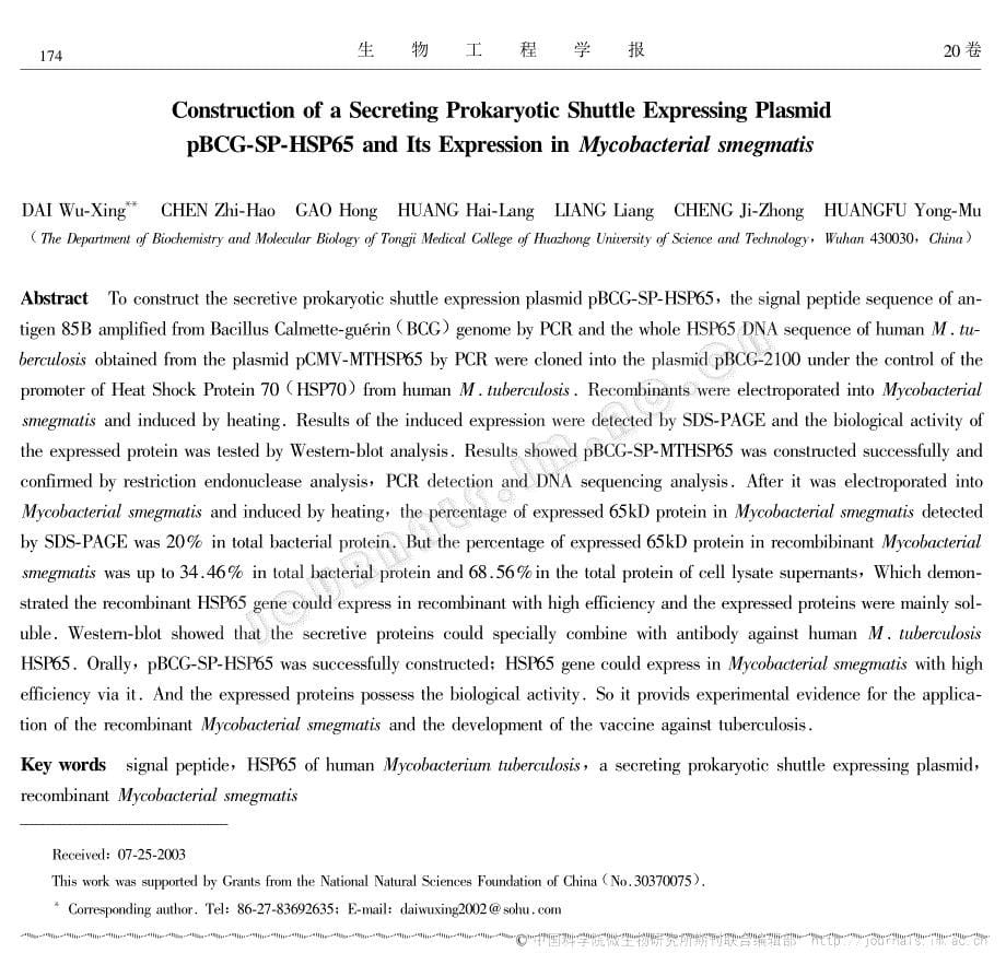 sp-hsp65的构建及人结核杆菌hsp65的表达_第5页