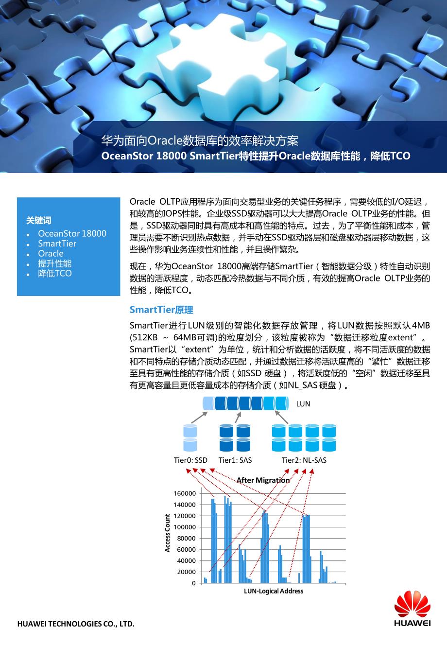 华为面向oracle数据库的效率解决方案_第1页