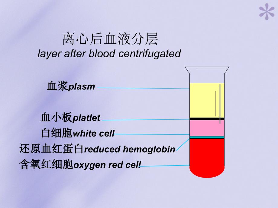 血细胞比容测定P33_第2页