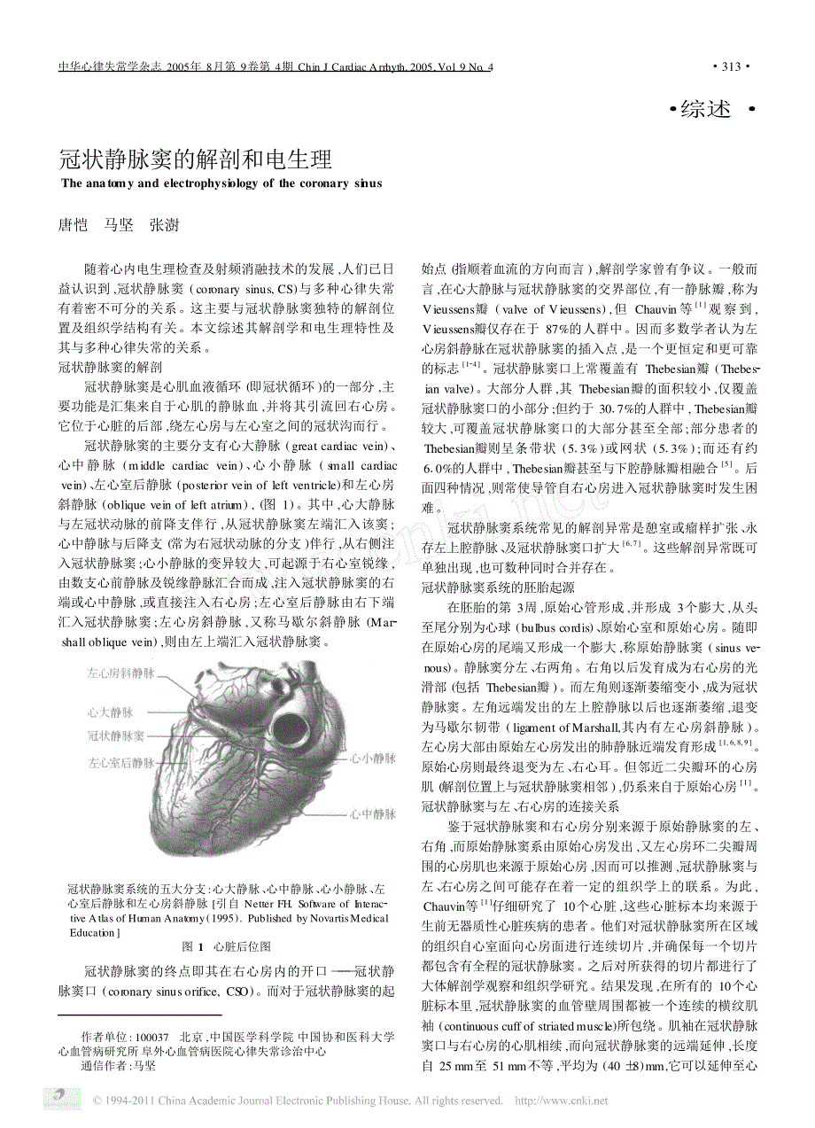 冠状静脉窦的解剖和电生理_第1页